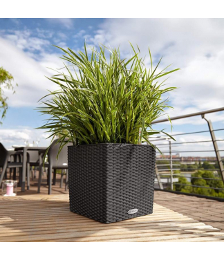 Puķu pods Lechuza Cube Cottage 30