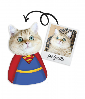 Spilvens ar kaķa attēlu SuperMan