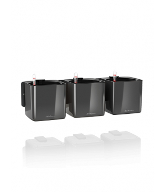 Zaļo augu sienas komplekts Cube Glossy