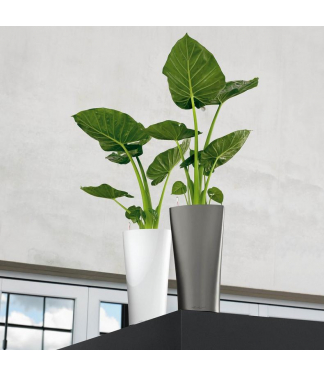 Plastmasas puķu pods Lechuza Delta