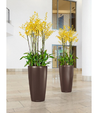 Elegants puķu pods Lechuza Rondo