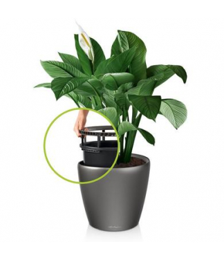 Klasiskais pods Lechuza Classico LS 