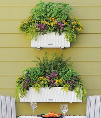 Liels puķu kaste Lechuza Balconera Cottage 80
