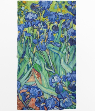 Dvielis Vincent Van Gogh Īrisi
