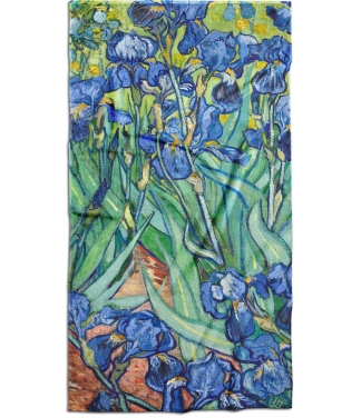 Dvielis Vincent Van Gogh Īrisi