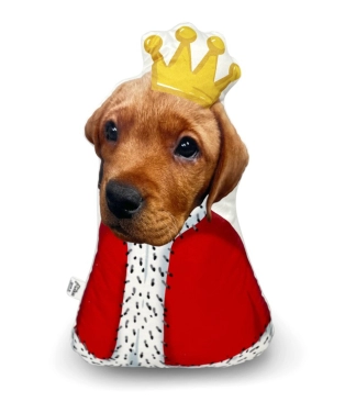 Personalizēts spilvens Karalis