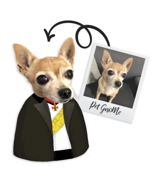 Personalizēts spilvens Imperātors