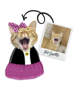 Spilvens ar kaķa attēlu Dancer