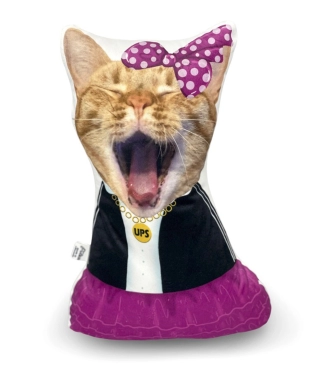 Spilvens ar kaķa attēlu Dancer