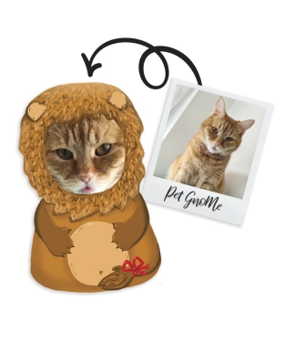 Personalizēts suņu spilvens Leo