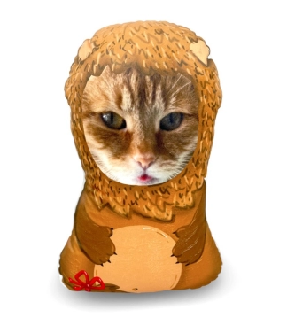 Personalizēts suņu spilvens Leo