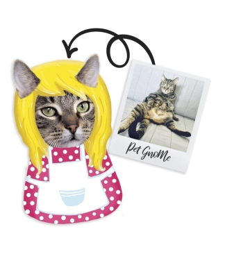 Spilvens ar kaķa attēlu HouseWife