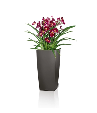 Puķu pods Lechuza Cubico 22