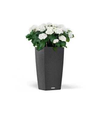 Augsts āra puķu pods Lechuza Cubico Cottage