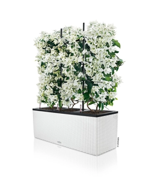 Āra puķu pods Lechuza Trio Cottage