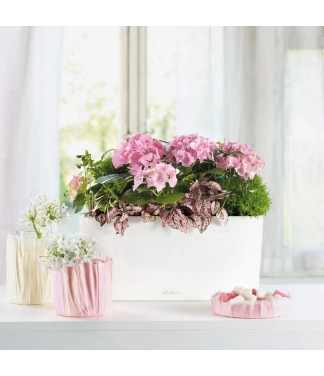 Augu kaste Lechuza Delta Premium