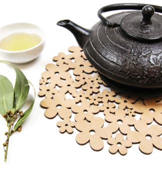 Liels koka paliktnis O1