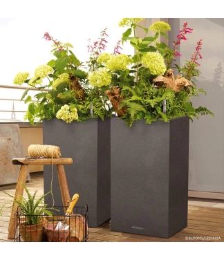 Augsts taisnstūra kolonnas pods Lechuza Canto