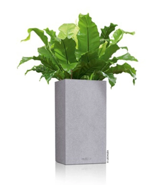 Taisnstūra kolonnas puķu pods Lechuza Canto Stone