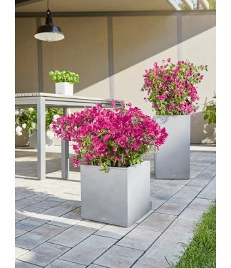 Āra puķu pods Lechuza Canto Stone