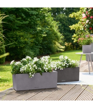 kokybiški lechuza vazonai gėlėms