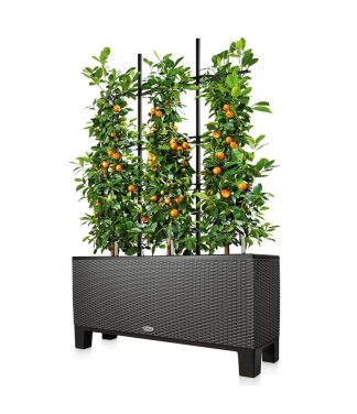 Lechuza Trio Cottage puķu poda režģis