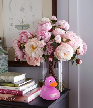 Dāvana Valentīndienas pīļu sirsniņām