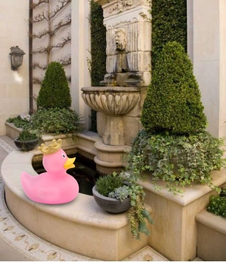 Zīmuļu pīle ar vainagu