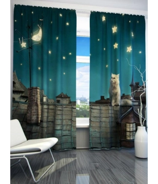 Aizkari Kaķu fantāzijas