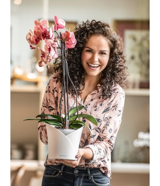 Stilīgs plastmasas pods orhidejām Lechuza Orchidea