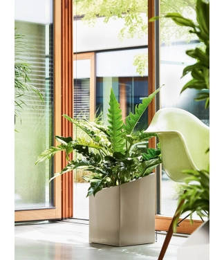 Puķu pods Lechuza Cursivo