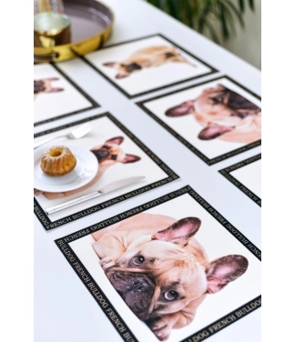 Franču buldogu paliktņu komplekts