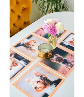 Jorkšīras terjera paliktņu komplekts