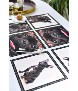 Paliktņu komplekts Black French Bulldogs