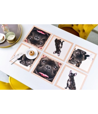 Paliktņu komplekts Black French Bulldogs