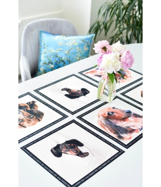 Paliktņu komplekts Taksis