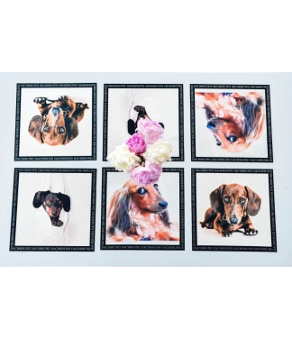 Paliktņu komplekts Taksis