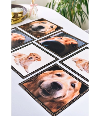 Paliktņu komplekts Golden retvirer