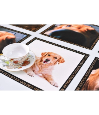 Paliktņu komplekts Golden retvirer