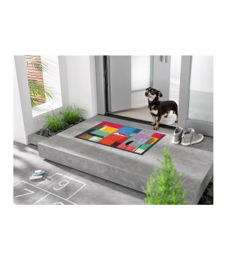 Plaunamas durų kilimėlis namams