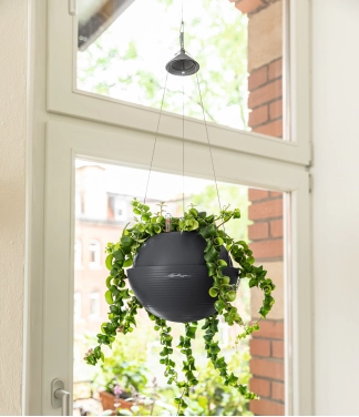 Puķu pods Lechuza Bola Colour