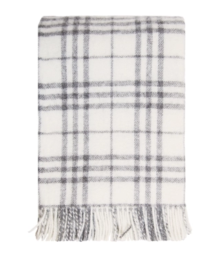 Baltas languotas pledas