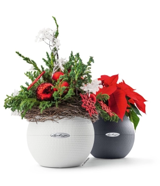 vazonas lechuza kaip kaledines dovanos moterims