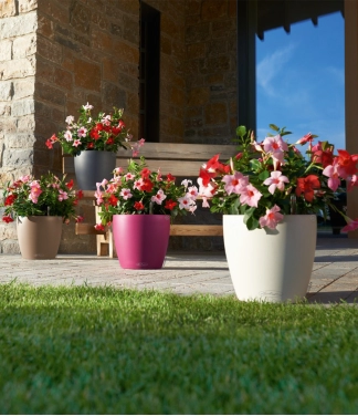 palstikiniai vazonai lechuza interjere