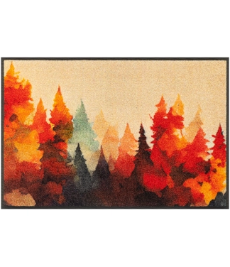 plaunamas kilimelis namams kleentex wash+dry