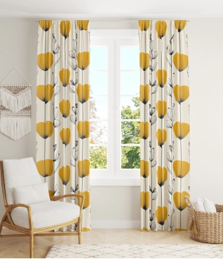 Dienas aizkari ar magonēm interjerā