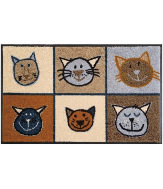 duru kilimelis su katinu atvaizdu