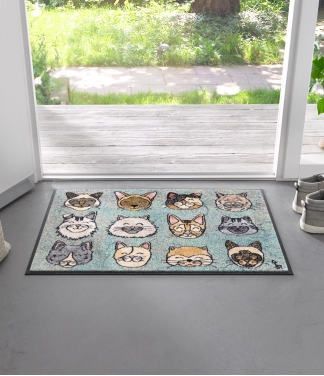 kilimas su katinais prie namų durų