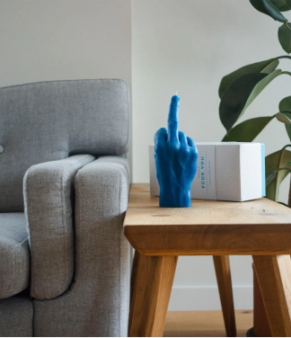 ranku darbo zvake melyna interjere