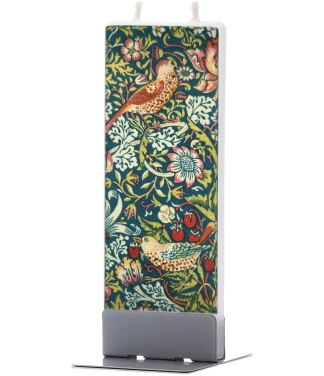 ranku darbo zvake morris pauksciai gamta